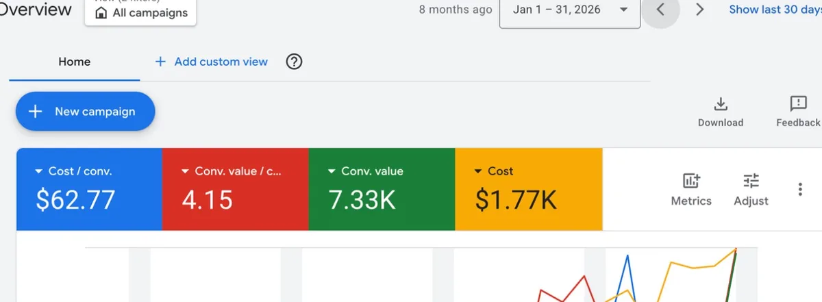 Google Ads account overview, january 2026 (launch month)