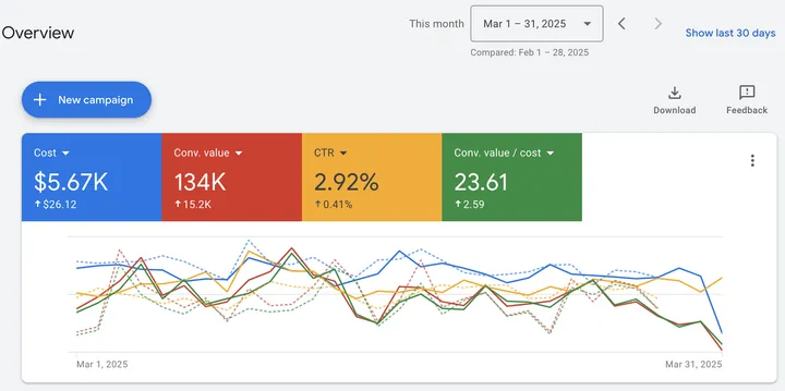 Google Ads overview of a client account.